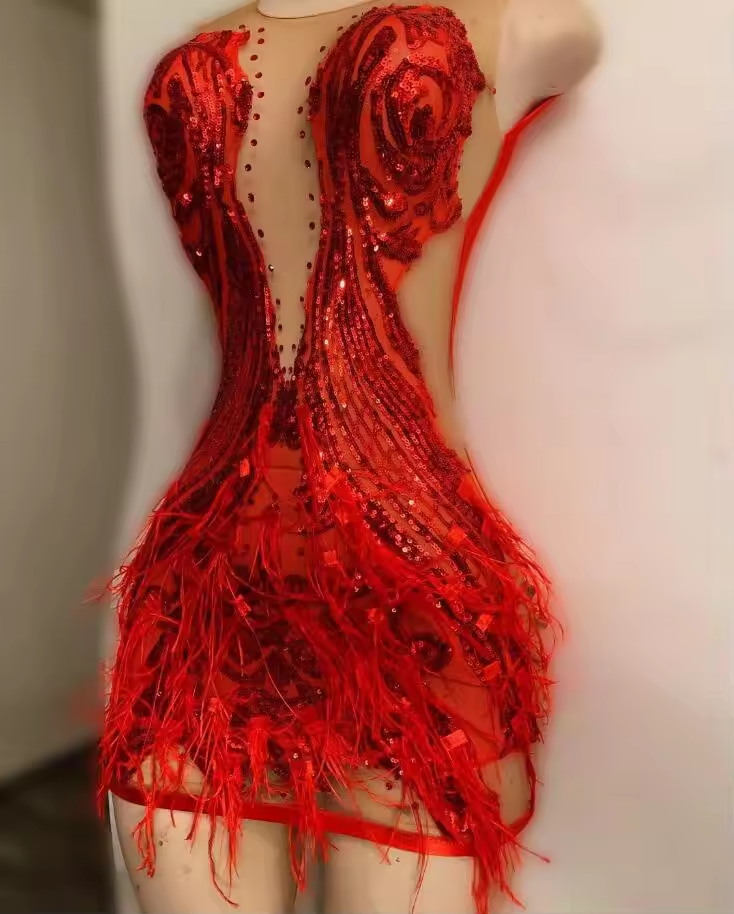 Gillter Red Short Prom Homecoming Dress for Women Sparkly Sequins Applique Feather Sheer Mesh Birthday Runway Gown customsized