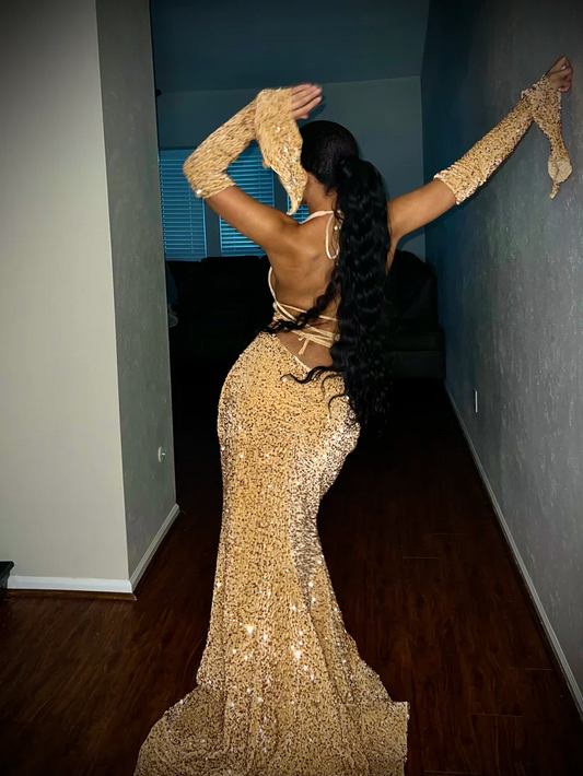 Simple Mermaid Sequin Prom Dresses Birthday Outfit