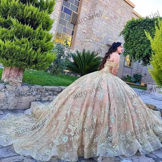 Champagne Shiny Ball Gown Quinceanera Dresses Sequin Gold Appliques Lace